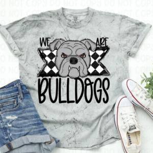 WE ARE MASCOTS - CUSTOM TRANSFER