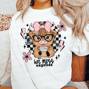 HOT MESS EXPRESS - DTF TRANSFER