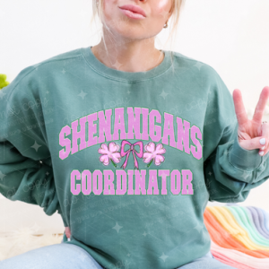 SHENANIGANS COORDINATOR - DTF TRANSFER