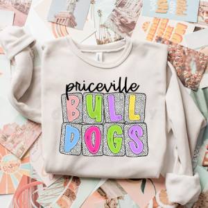 BRIGHT DOTS SCHOOL MASCOT W/ NAME - CUSTOM TRANSFER