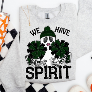 WE HAVE SPIRIT - CUSTOM TRANSFER