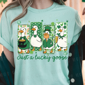 JUST A LUCKY GOOSE - DTF TRANSFER