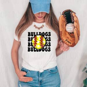 SPORTS TEAM NAMES - CUSTOM TRANSFER