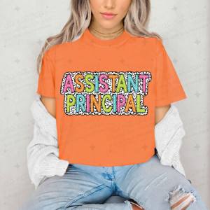 ASSISTANT PRINCIPAL - DTF TRANSFER