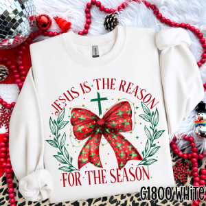 JESUS IS THE REASON FOR THE SEASON - DTF TRANSFER