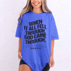 WHEN IT ALL FELL THROUGH - DTF TRANSFER