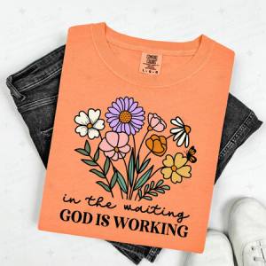 IN THE WAITING GOD IS WORKING - DTF TRANSFER