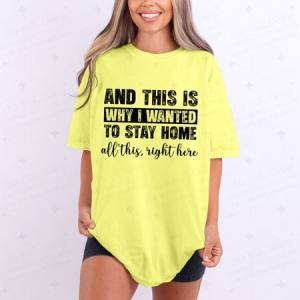 AND THIS IS WHY I WANTED TO STAY HOME - DTF TRANSFER