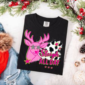 SLEIGH ALL DAY - DTF TRANSFER