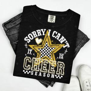 SORRY I CAN'T IT IS CHEER SEASON - WHITE/GOLD - DTF TRANSFER