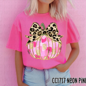 PINK BRUSHSTROKE PUMPKIN - DTF TRANSFER