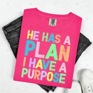 HE HAS A PLAN I HAVE A PURPOSE - DTF TRANSFER