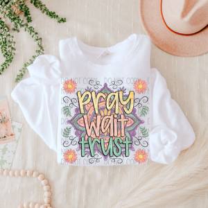 PRAY WAIT TRUST - DTF TRANSFER