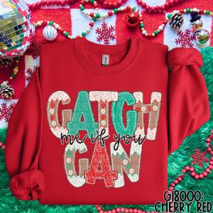 CATCH ME IF YOU CAN - DTF TRANSFER