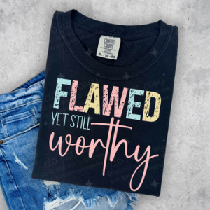 FLAWED YET STILL WORTHY  - DTF TRANSFER