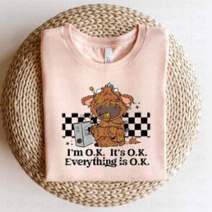 I'M OK, IT'S OK, EVERYTHING IS OK - DTF TRANSFER