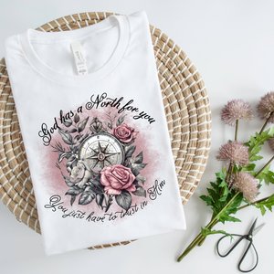 GOD HAS A NORTH FOR YOU *OLLIE & CO. EXCLUSIVE* - DTF TRANSFER