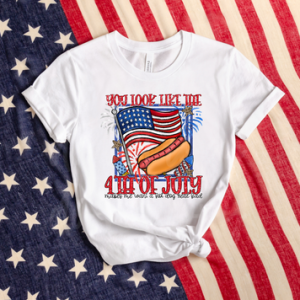 YOU LOOK LIKE THE 4TH OF JULY - DTF TRANSFER