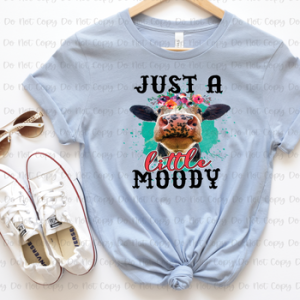 JUST A LITTLE MOODY - DTF TRANSFER