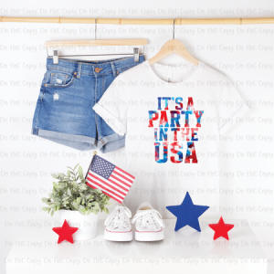 IT'S A PARTY IN THE USA - DTF TRANSFER