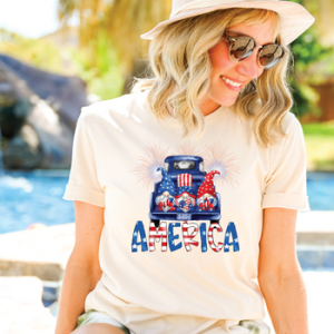 AMERICA - DTF TRANSFER