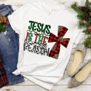 JESUS IS THE REASON - DTF TRANSFER