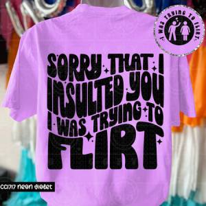 SORRY THAT I INSULTED YOU - FRONT+BACK - DTF TRANSFER